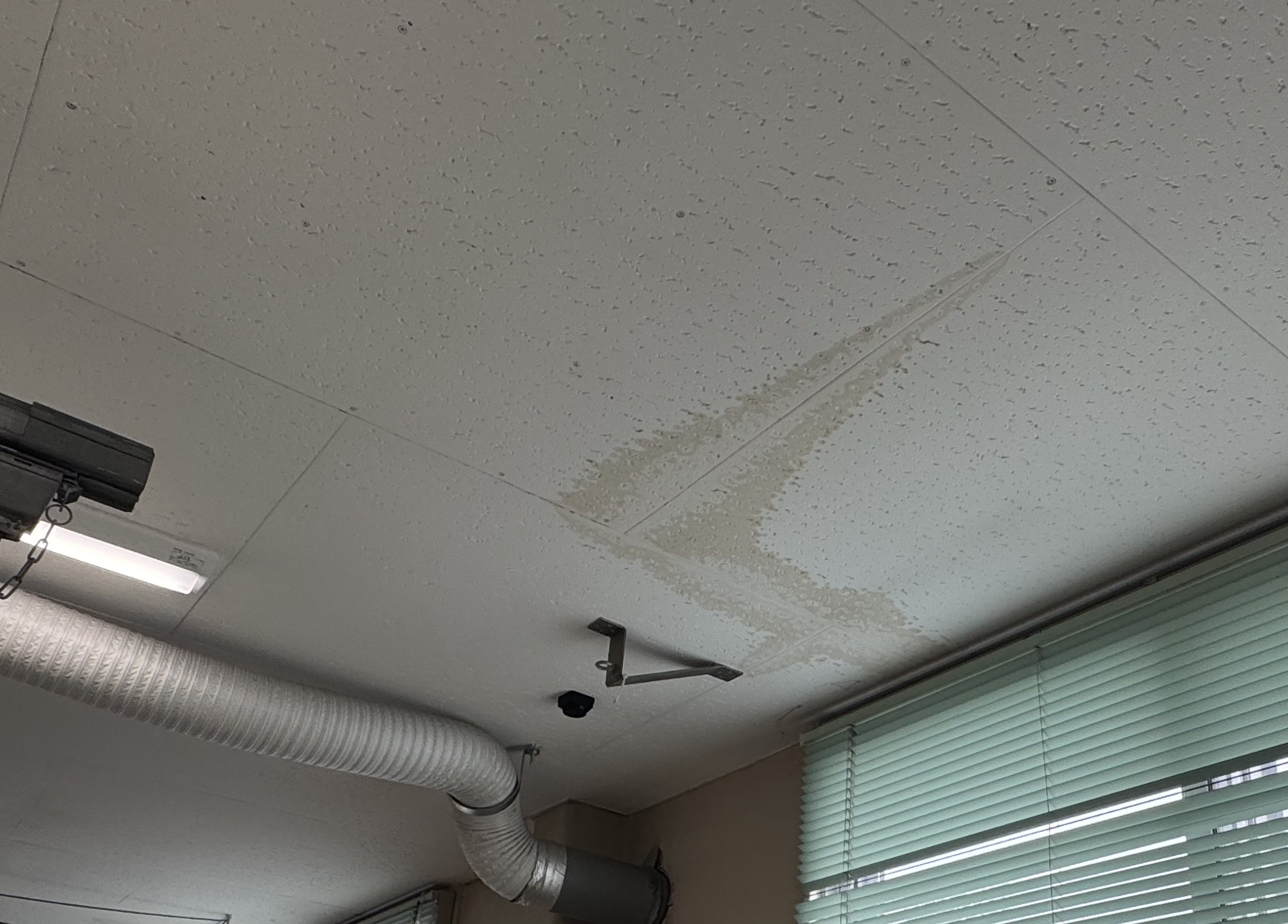 雨漏り箇所